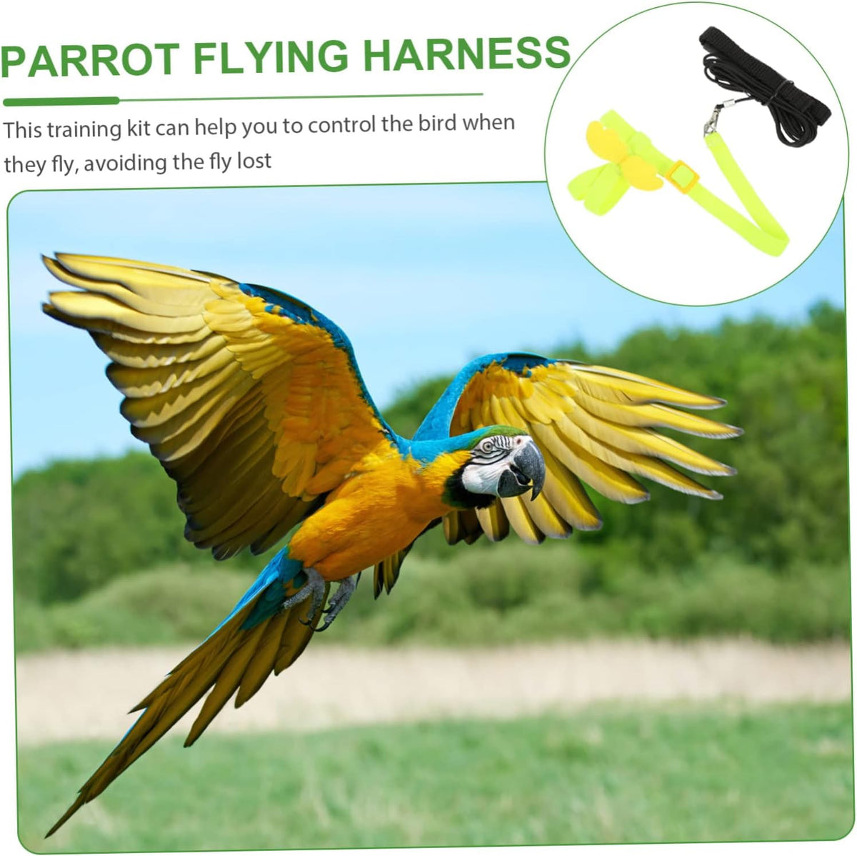 BESPORTBLE 4pcs Bird Training Rope Parrot Harness Leash Pet Bird Fly Train Supply for Small Conure