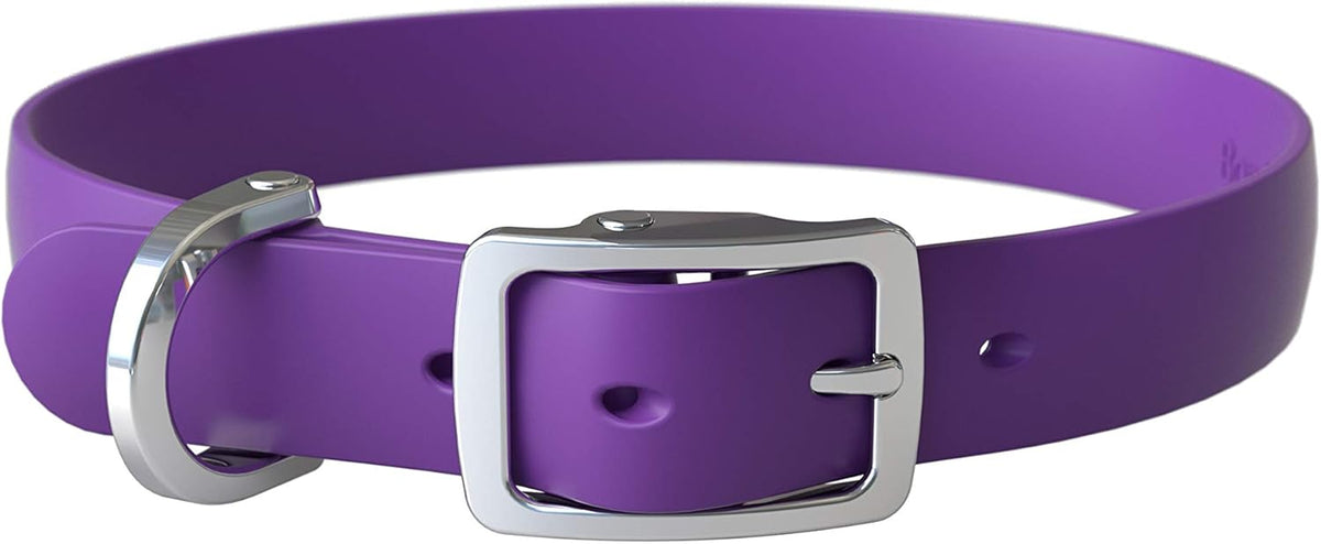 Bond Pet Waterproof Dog Collar - Durable, Comfortable, Adjustable, Wear Resistant and Easy to Clean for Puppies and XSmall Dogs (Orange, XSmall) - PuriLite