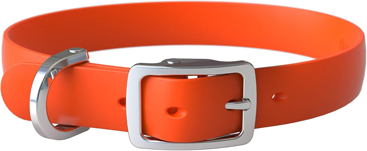 Bond Pet Waterproof Dog Collar - Durable, Comfortable, Adjustable, Wear Resistant and Easy to Clean for Puppies and XSmall Dogs (Orange, XSmall) - PuriLite