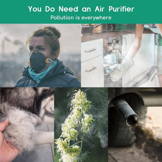 Afloia Air Purifier for Home Large Room Up to 1796 Ft², 3-Stage Air Cleaner for Bedroom 24 dB, Air Purifiers for Pets Dust Dander Mold Pollen, Odor Wildfire Smoke Eliminator, Fillo (Black) - PuriLite