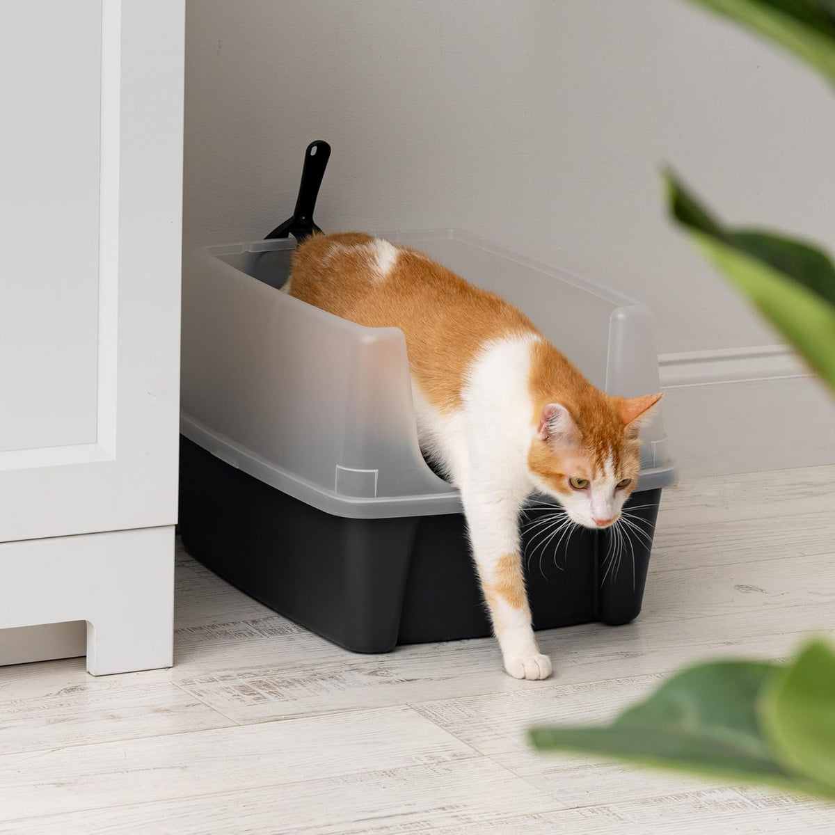 IRIS USA Large Cat Litter Box with Scoop, Open Top Cat Litter Pan, Black - PuriLite