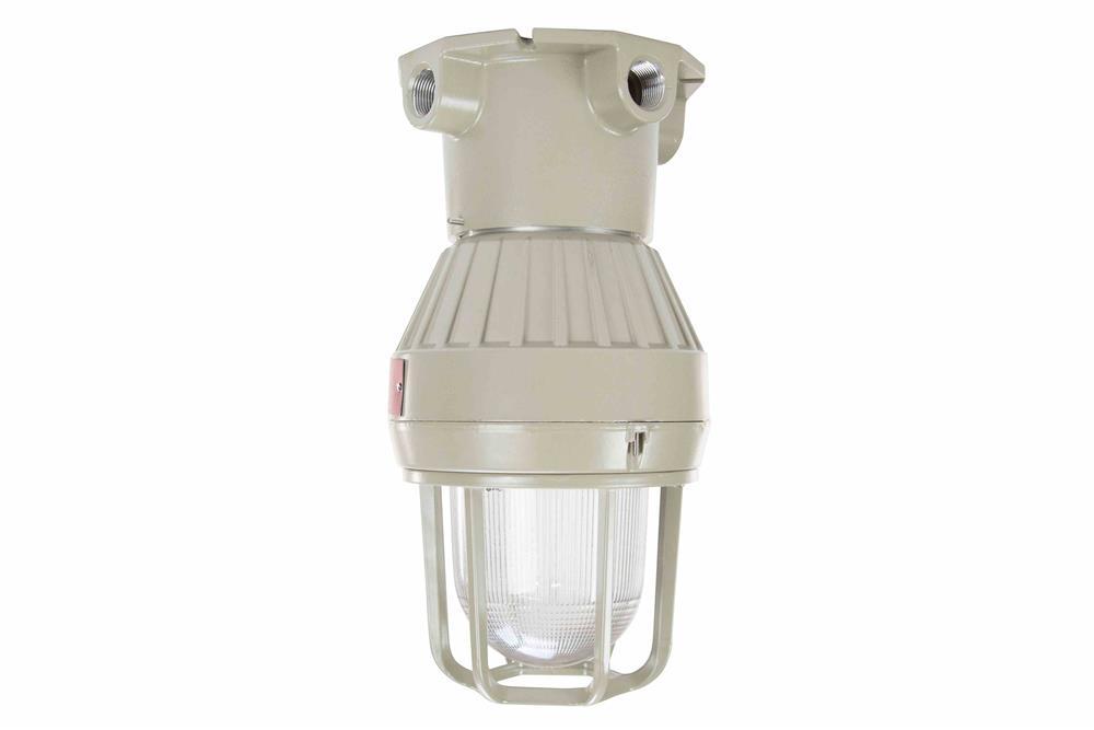 Class I, Div. I, 100 Watt Incandescent Light - Vapor Proof - Fixed Mount - 12/24 Volts - PuriLite