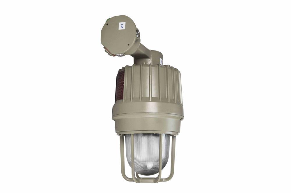 Explosion Proof Light - 70 Watt Metal Halide - Class 1 Div 1 & Class 2 Div 1 - PuriLite