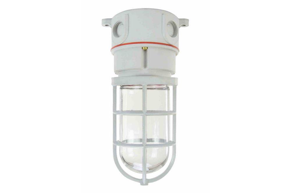 *NO LAMP* C1D2 Groups A,B,C,D Chemical Resistant Light Housing - Non-Metallic - Corrosion Resistant - PuriLite
