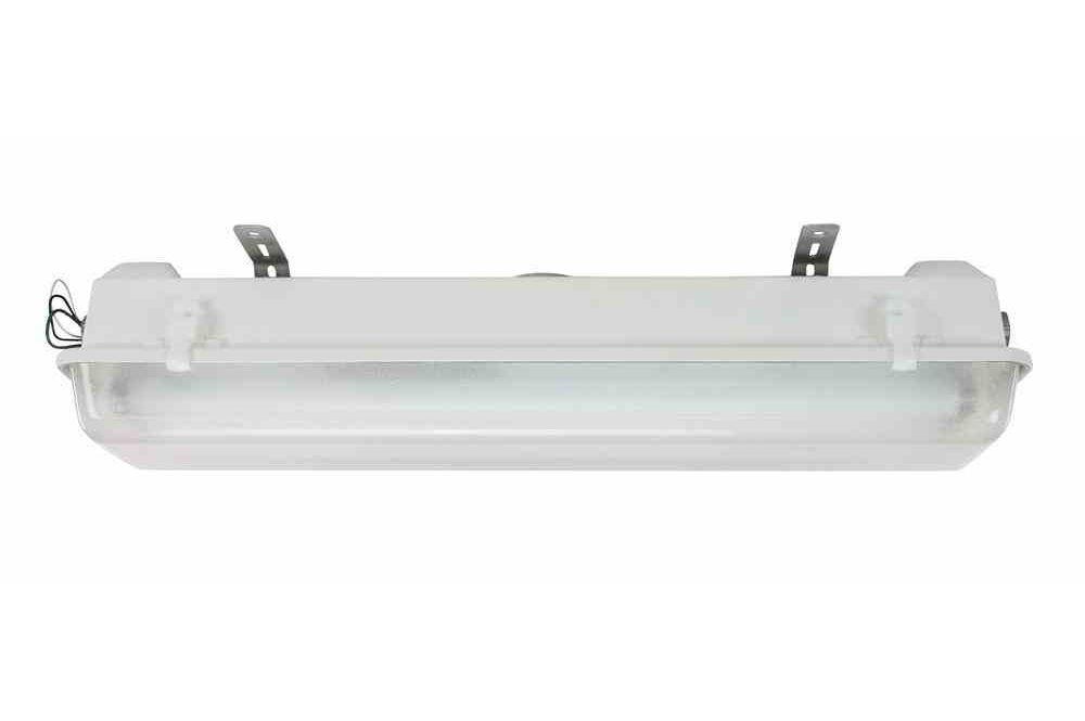 Class I, Div II Fluorescent Fixture - Corrosion Resistant (Saltwater) - 2' Fixture - Bi-Axial Design - PuriLite