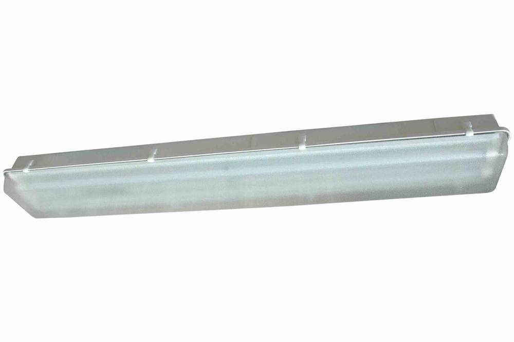 Class 1 Division 2 Emergency Fluorescent Light - 4' 2 lamp - EMERGENCY ONLY - PuriLite