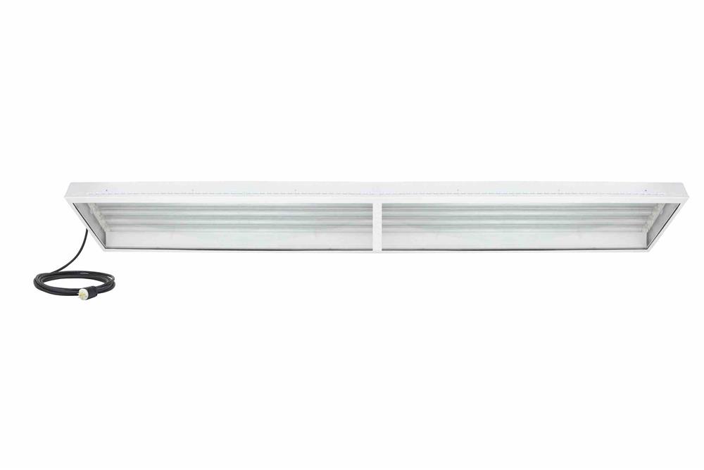 224W Hazardous Area LED Light -C1D2/C2D2 Groups F,G - (8) 4' LED Lamps - 6' 16/3 SOOW Cord, Cord Cap - PuriLite