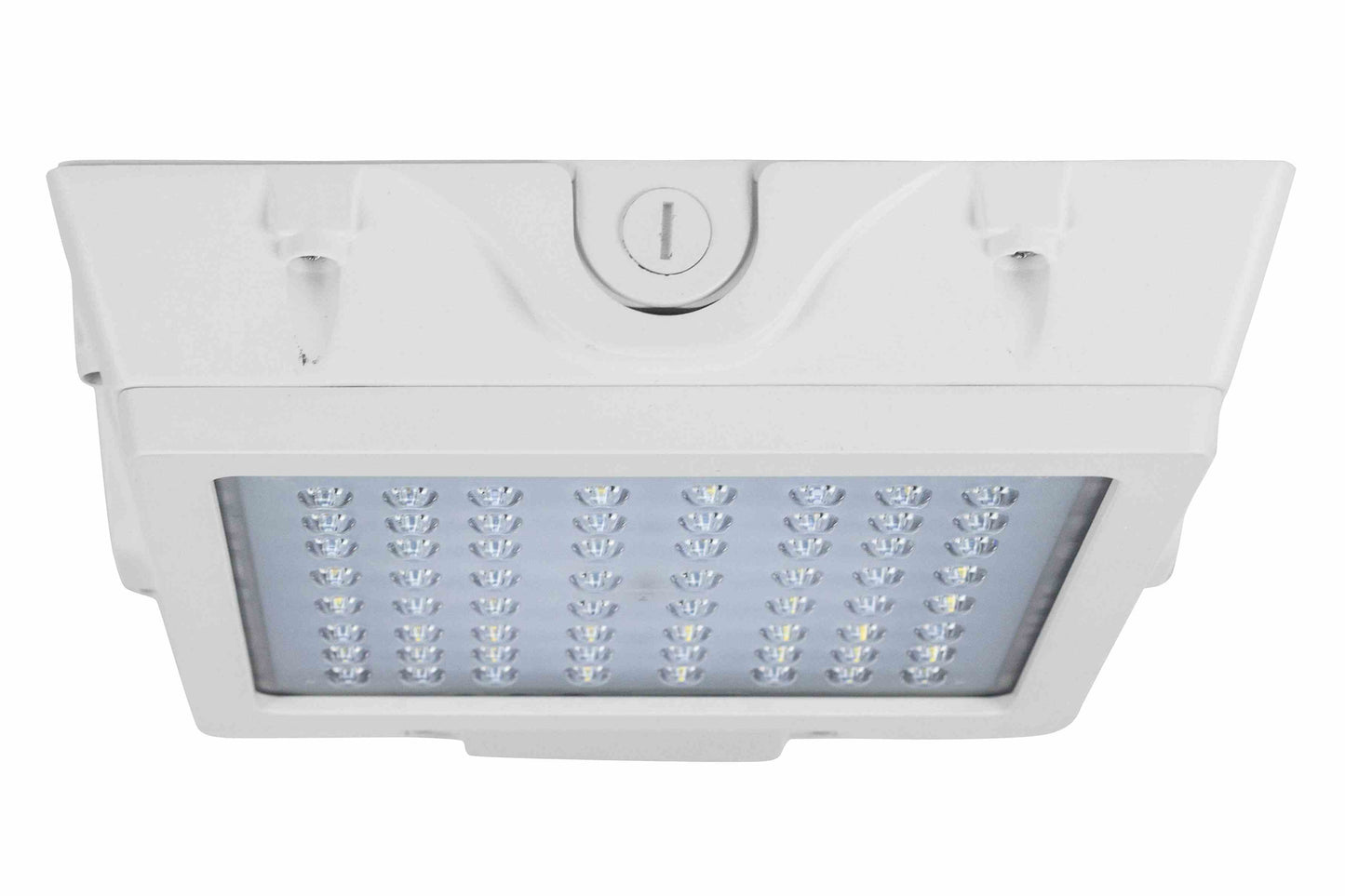 Larson 55 Watt Low Profile LED Canopy Light - Replaces 250 Watt MH Fixtures - 120-277V AC - IP65 Rated - PuriLite