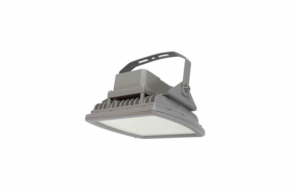 100W Hazardous Location LED Light - C1D2 - 10,000 lms - Surface/Pendant Mount - IP68 - ATEX Rated - PuriLite