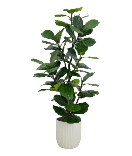 Faux 1.9 m (6.5 ft.) Slim Fig Tree - PuriLite