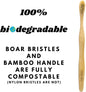 Gaia Guy Natural Bristle Bamboo Toothbrush with Boar Bristles - Totally Biodegradable and Compostable - No Nylon Toothbrushes - Zero Waste 12-Pack - PuriLite