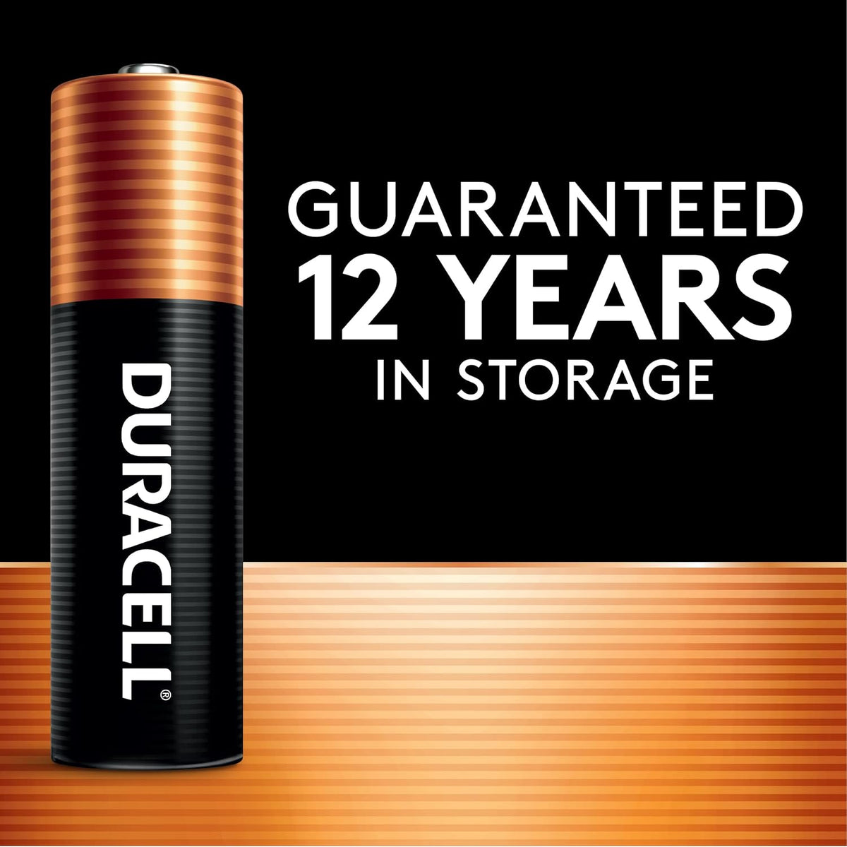 Duracell Coppertop AAA Batteries, 24 Count Pack Triple a Battery with Long-lasting Power, Alkaline AAA Battery for Household and Office Devices. Packaging may vary - PuriLite