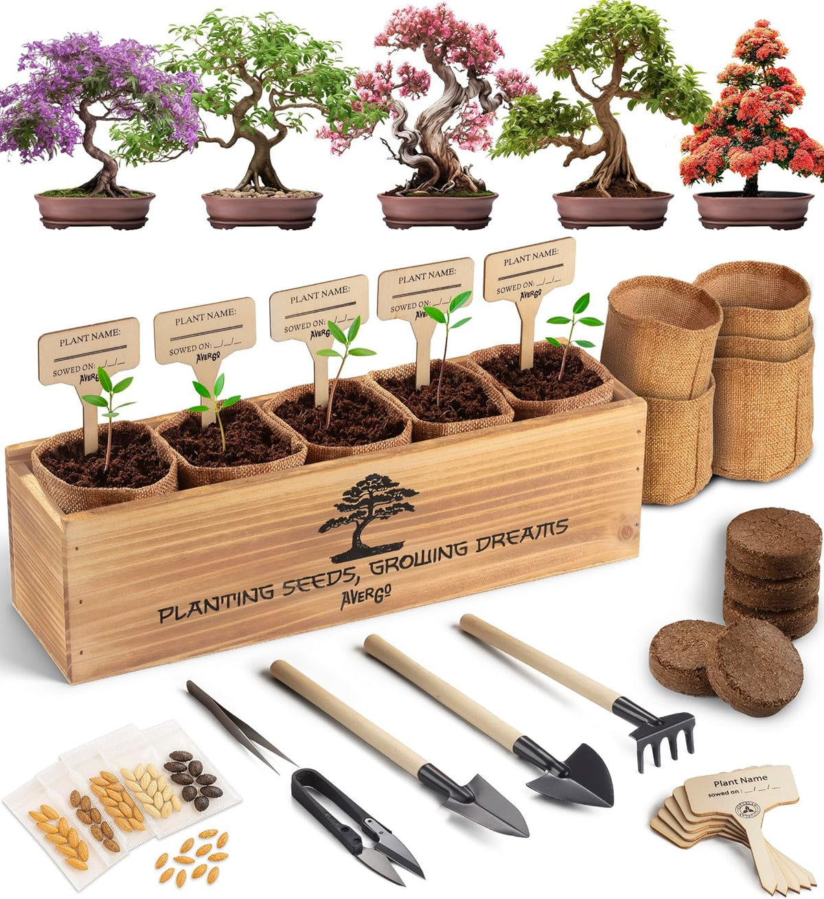 Avergo Bonsai Tree Kit – 5X Unique Japanese Bonzai Trees | Complete Indoor Bonsai Starter Kit for Growing Bonsai Plants with Tools & Planters – Gardening Gifts for Women & Men - PuriLite