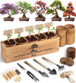Avergo Bonsai Tree Kit – 5X Unique Japanese Bonzai Trees | Complete Indoor Bonsai Starter Kit for Growing Bonsai Plants with Tools & Planters – Gardening Gifts for Women & Men - PuriLite