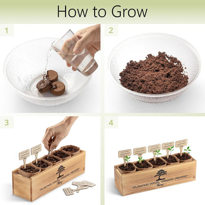 Avergo Bonsai Tree Kit – 5X Unique Japanese Bonzai Trees | Complete Indoor Bonsai Starter Kit for Growing Bonsai Plants with Tools & Planters – Gardening Gifts for Women & Men - PuriLite