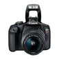 Canon EOS Rebel T7 DSLR Camera with EF-S 18-55mm DC III Lens (EOSREBELT7KITDC) - PuriLite