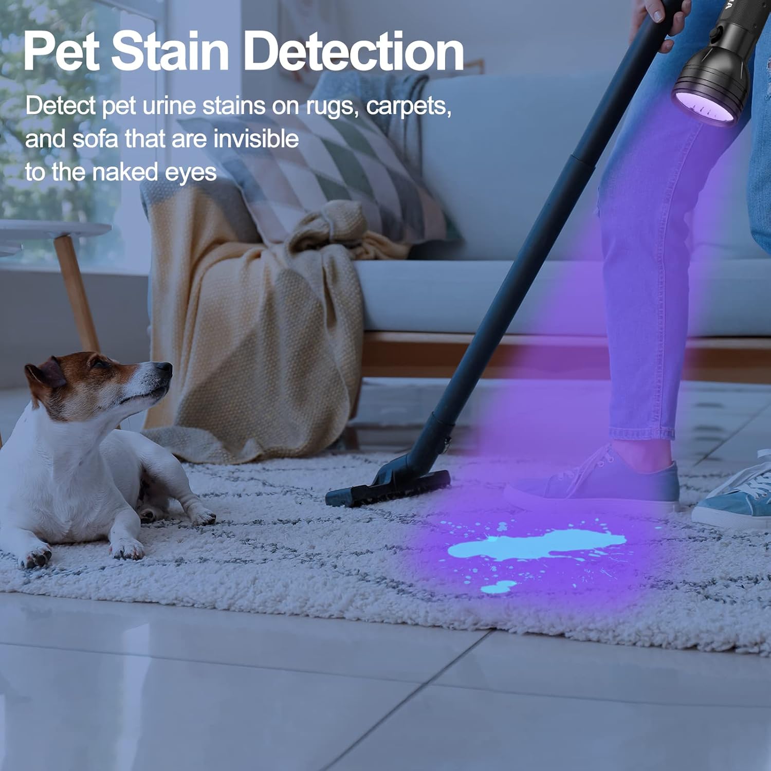 UV Flashlight Black Light UV Lights, Vansky 51 LED Ultraviolet Blacklight Pet Urine Detector for Dog Cat Urine,Dry Stains,Bed Bug, Matching with Pet Odor Eliminator - PuriLite