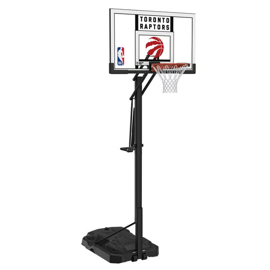 Lifetime Toronto Raptors 54" Portable Basketball Net