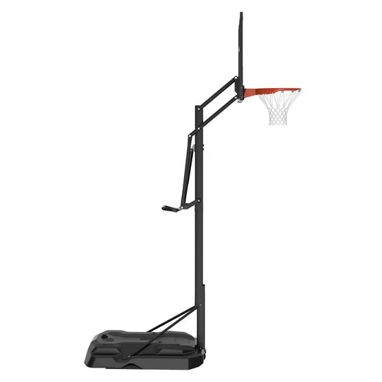 Lifetime Toronto Raptors 54" Portable Basketball Net