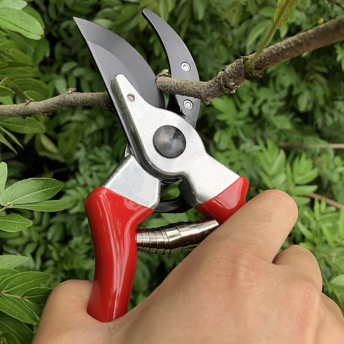 gonicc 8" Professional Sharp Bypass Pruning Shears (GPPS-1002), Tree Trimmers Secateurs,Hand Pruner, Garden Shears,Clippers for The Garden. - PuriLite