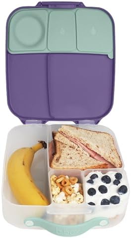 b.box 5-Compartment bento Style Lunch Box for Kids, Toddlers, Childrens, BPA-Free Food Storage Container with Cooler Pack, ON-The-GO Food Box with Handles Included Custom Divider, Lemon Twist - PuriLite