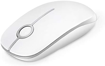 Wireless Mouse, Vssoplor 2.4G Slim Portable Computer Mice with Nano Receiver for Notebook, PC, Laptop, Computer (White and Silver) - PuriLite
