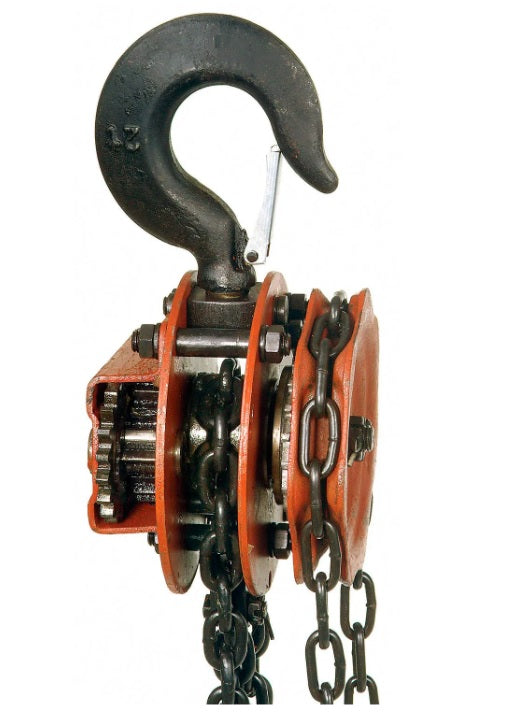 Global Industrial™ Manual Chain Hoist, 20' Lift, 4,000 Lb. Capacity - PuriLite
