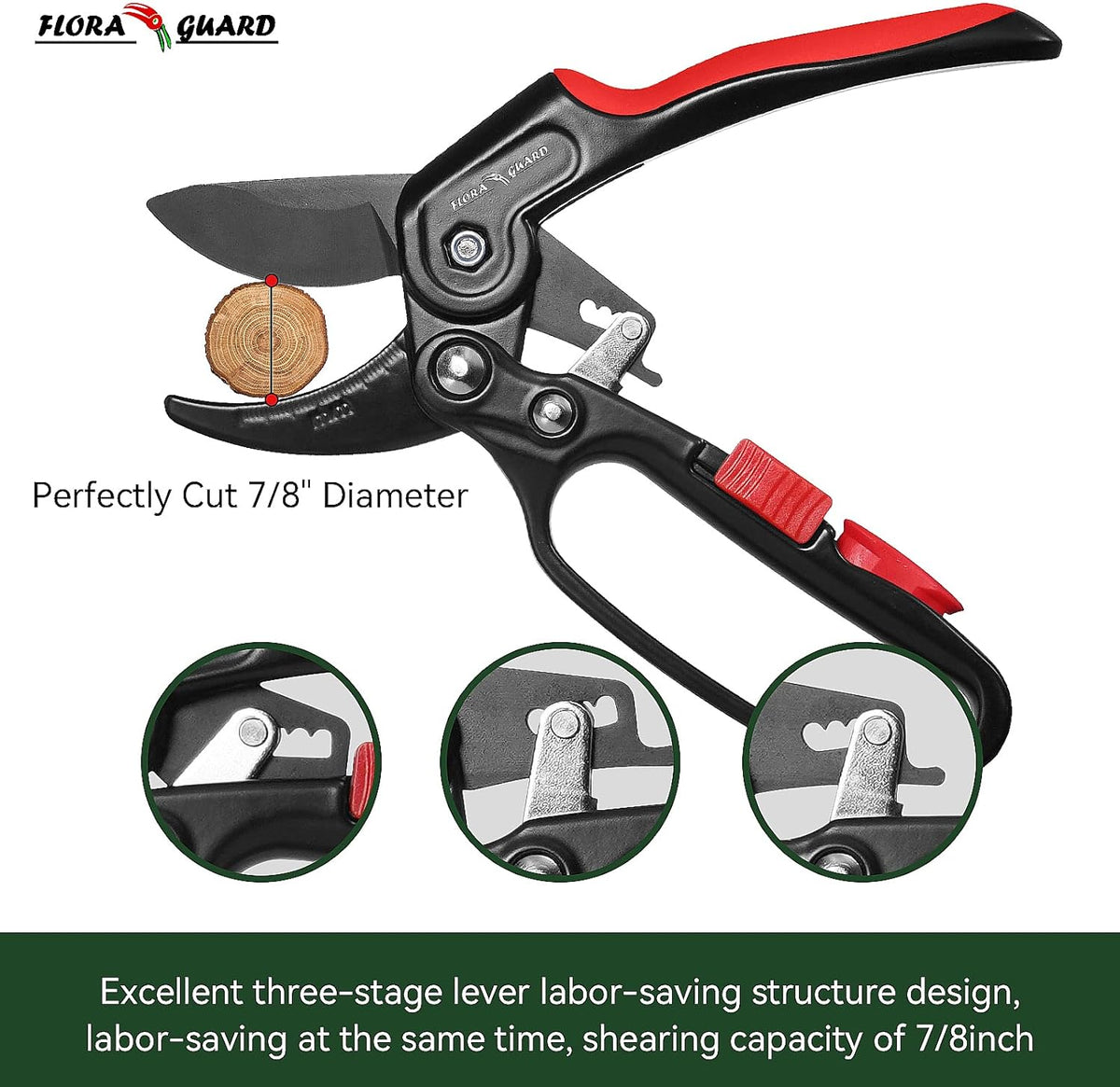 FLORA GUARD Garden Clippers, Professional Ratchet Pruning Shears, Increases Cutting Power 3X, Sharp Gardening Scissors, Cutting Rose, Flower, Hedge, Stem, Tree, Perfect for Weak Hands & Arthritis - PuriLite