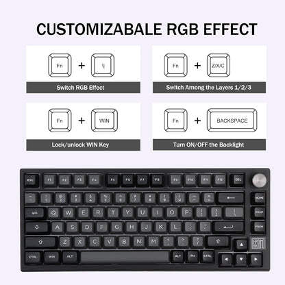EPOMAKER TH80 SE Gasket 75% Mechanical Keyboard, NKRO Hot Swap RGB Triple Mode Gaming Keyboard with Poron/EVA Foam, Knob Control for E-Sport/Win/Mac (TH80 SE Black Silver, Epomaker Flamingo Switch) - PuriLite