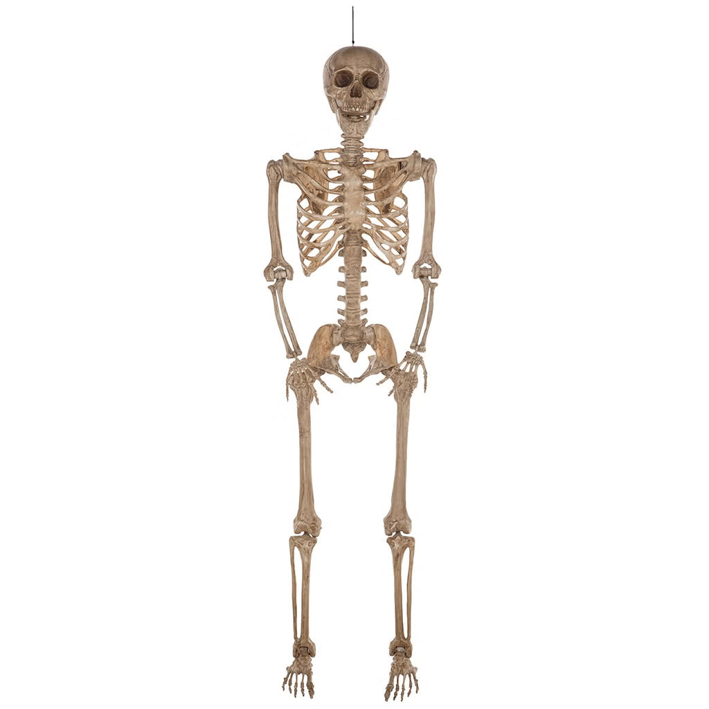 Halloween 7ft Poseable Skeleton Indoor Prop Decoration