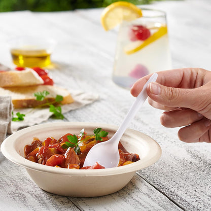 400 Light-Weight White Disposable Plastic Teaspoons - PuriLite