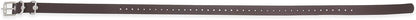 Educator ET-BUC034 Biothane Collar, 3/4-Inch, Black - PuriLite