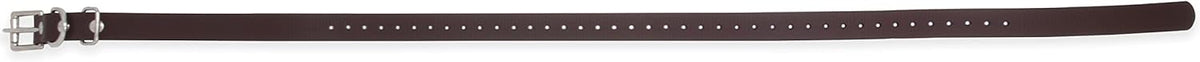 Educator ET-BUC034 Biothane Collar, 3/4-Inch, Black - PuriLite