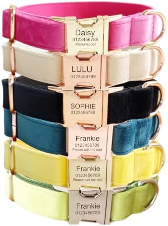 Custom Engraved Dog Collar with Name and Phone Number, Personalized for Small, Medium, and Large Dogs (Plaid) - PuriLite