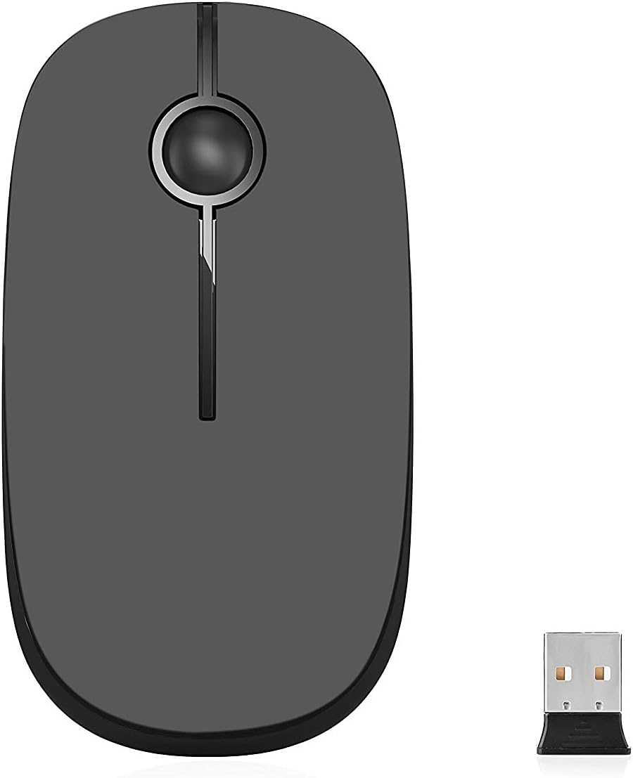 Wireless Mouse, Vssoplor 2.4G Slim Portable Computer Mice with Nano Receiver for Notebook, PC, Laptop, Computer-Black and Silver - PuriLite