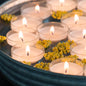 Stonebriar 48 Count White Unscented Smokeless Long Burning Clear Cup Tea Light Candles with 6 to 7 Hour Burn Time - PuriLite