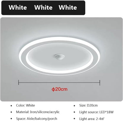 Pendent Lamp Smart LED Ceiling Lamps Human Sensor Smart Home Lighting Compatible with Entrance Room Hallways Corridor Sensor Ceiling Lamp,Pendant Light(Light Green,Warm White) - PuriLite