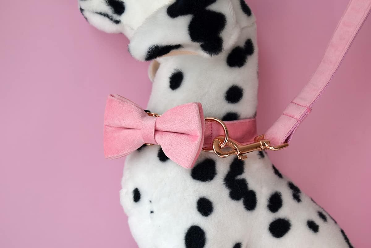 Custom Dog Collar with Metal Buckle - Pet Collars Personalized with Name and Phone Number (Plaid) - PuriLite