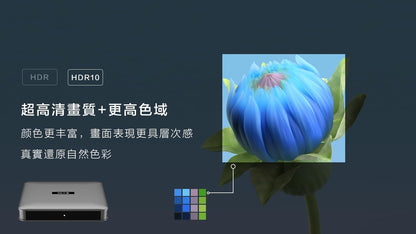 2025 Svicloud 10P Android 4+64GB Smart AI Voice Remote Ultra HD 2.4/5.8G WiFi Overseas Version Svicloud - PuriLite