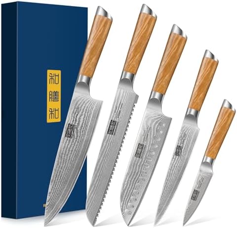 HOSHANHO Damascus Fillet Knife 7 Inch, Professional VG-10 Super Steel Boning Knife, Ultra Sharp Fish Knife with Ergonomic Handle - PuriLite