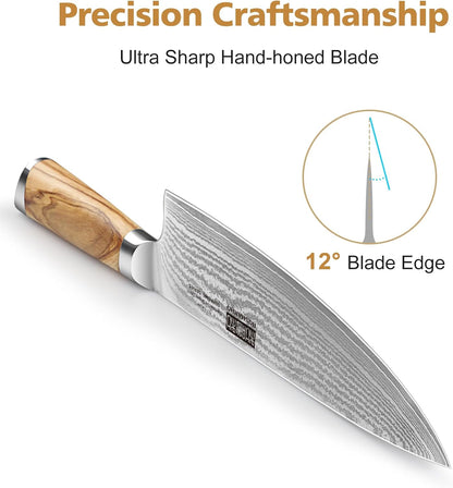 HOSHANHO Damascus Fillet Knife 7 Inch, Professional VG-10 Super Steel Boning Knife, Ultra Sharp Fish Knife with Ergonomic Handle - PuriLite