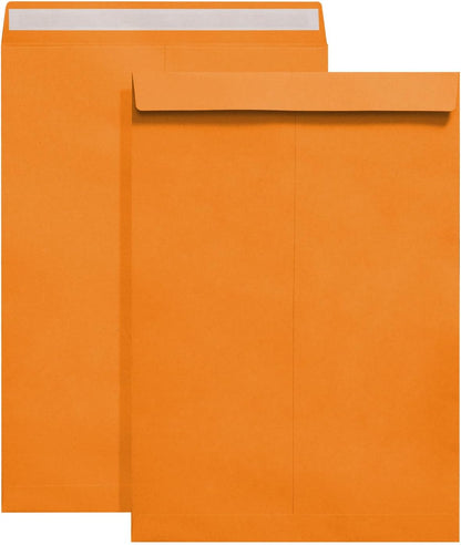 Tanshuqin 9" x 12.75" Self-Seal Catalog Envelopes 32lb Kraft Envelopes for Invitation Cards, Organizing and Storage, Pictures, Photos, Documents (100 PCS) - PuriLite