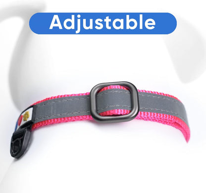 Pawtitas Chain Martingale Dog Collar Puppy Collar Reflective Dog Collar Training Dog Collar Behavioral Dog Chain Collar Collar Large Dog Collar Orange Dog Collar - PuriLite