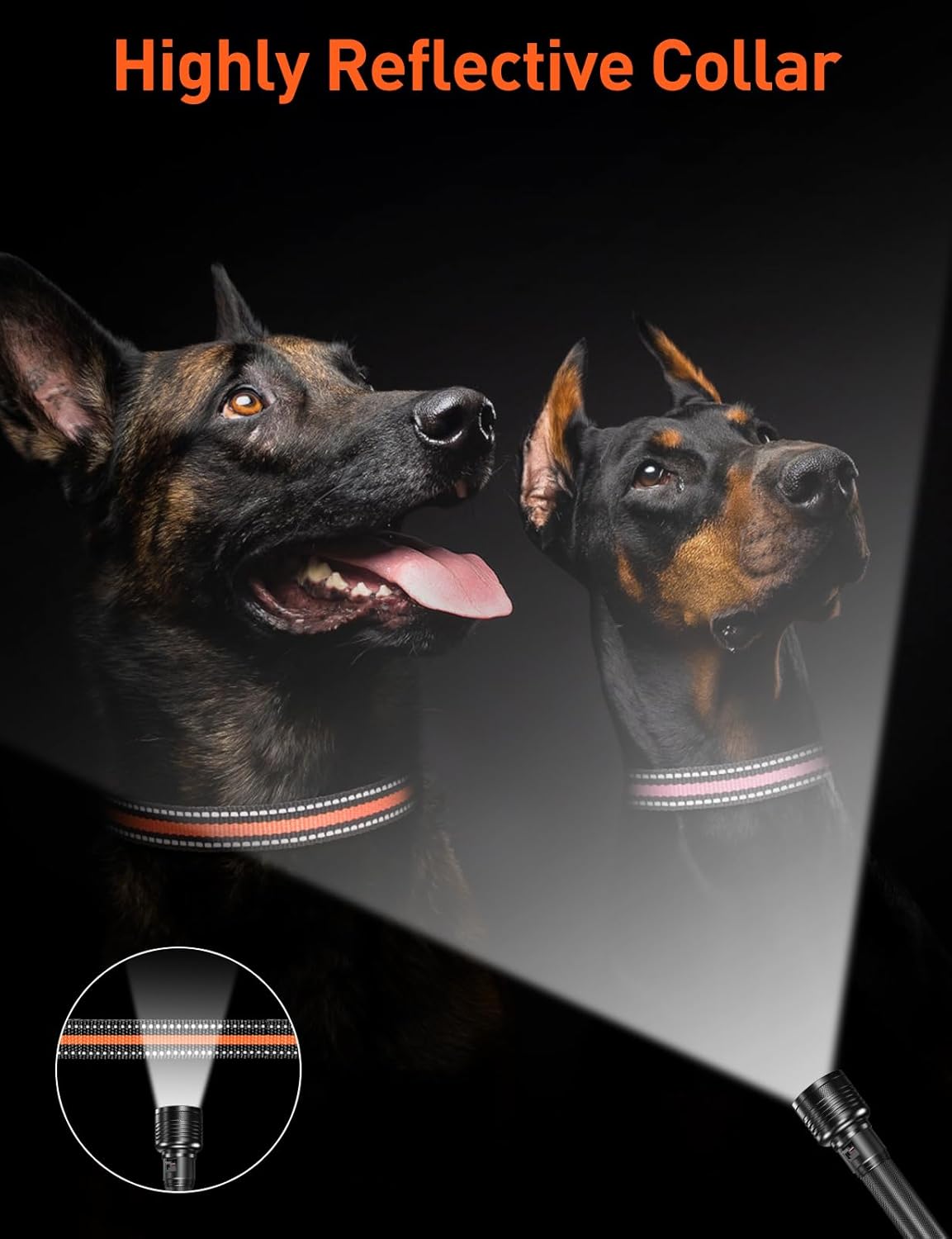 DOGLinsen 2-in-1 Bark and Shock Collar for Dogs, Smart Anti Barking Dog Training Collar with 5 Adjustable Sensitivity, Automatic Bark Collar with Remote, Vibration, Beep, Shock and Automatic - PuriLite