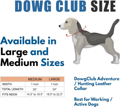 DowgClub | Genuine Leather Dog Collar | Full Grain, Heavy Duty | Comfortable, Strong | Best for Pups, Small, Medium & Large Breeds | Pink, Brown, Black, Tan - PuriLite