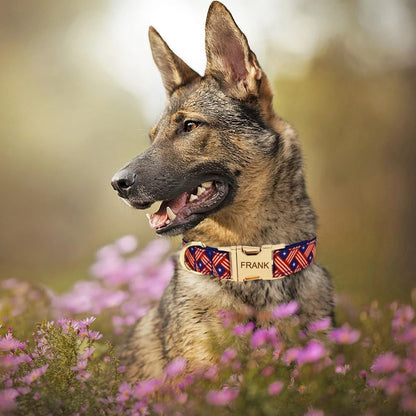Custom Dog Collar with Metal Buckle - Pet Collars Personalized with Name and Phone Number (Plaid) - PuriLite