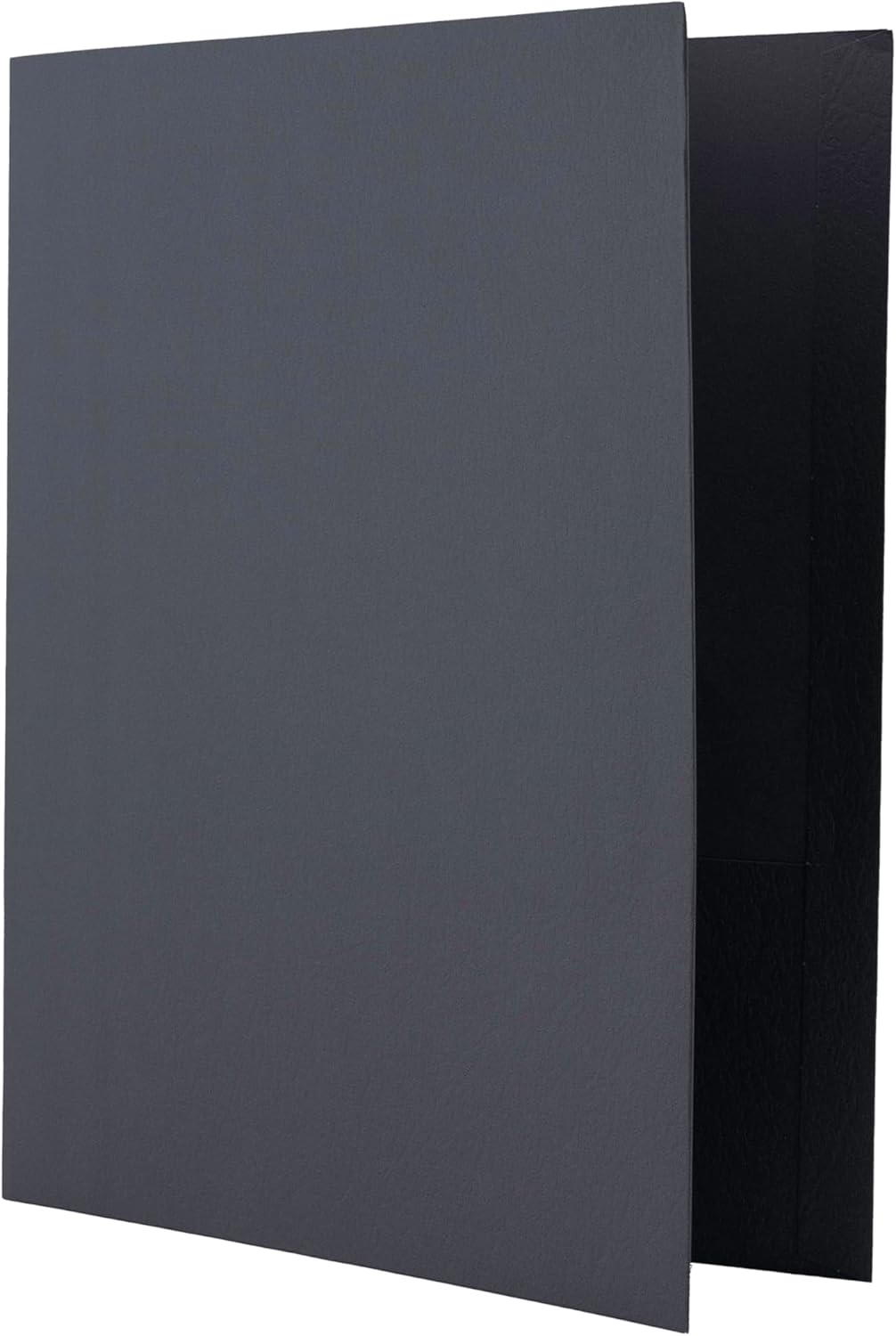 Hilroy Twin Pocket Portfolios, 9.5" x 11.75", 4-Pack, Assorted Colours (06042) - PuriLite