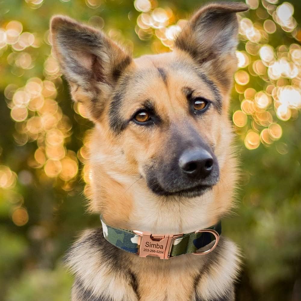 Custom Dog Collar with Metal Buckle - Pet Collars Personalized with Name and Phone Number (Plaid) - PuriLite