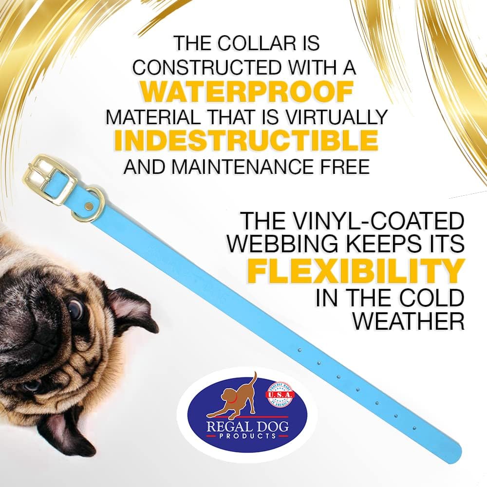 Regal Dog Products Medium Black Waterproof Dog Collar with Gold Buckle, Resilient and Durable Materials, Comfortable Design - for Small, Medium, and Large Breed Dogs - PuriLite