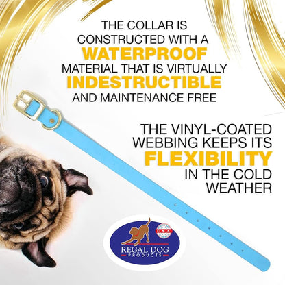 Regal Dog Products Medium Black Waterproof Dog Collar with Gold Buckle, Resilient and Durable Materials, Comfortable Design - for Small, Medium, and Large Breed Dogs - PuriLite